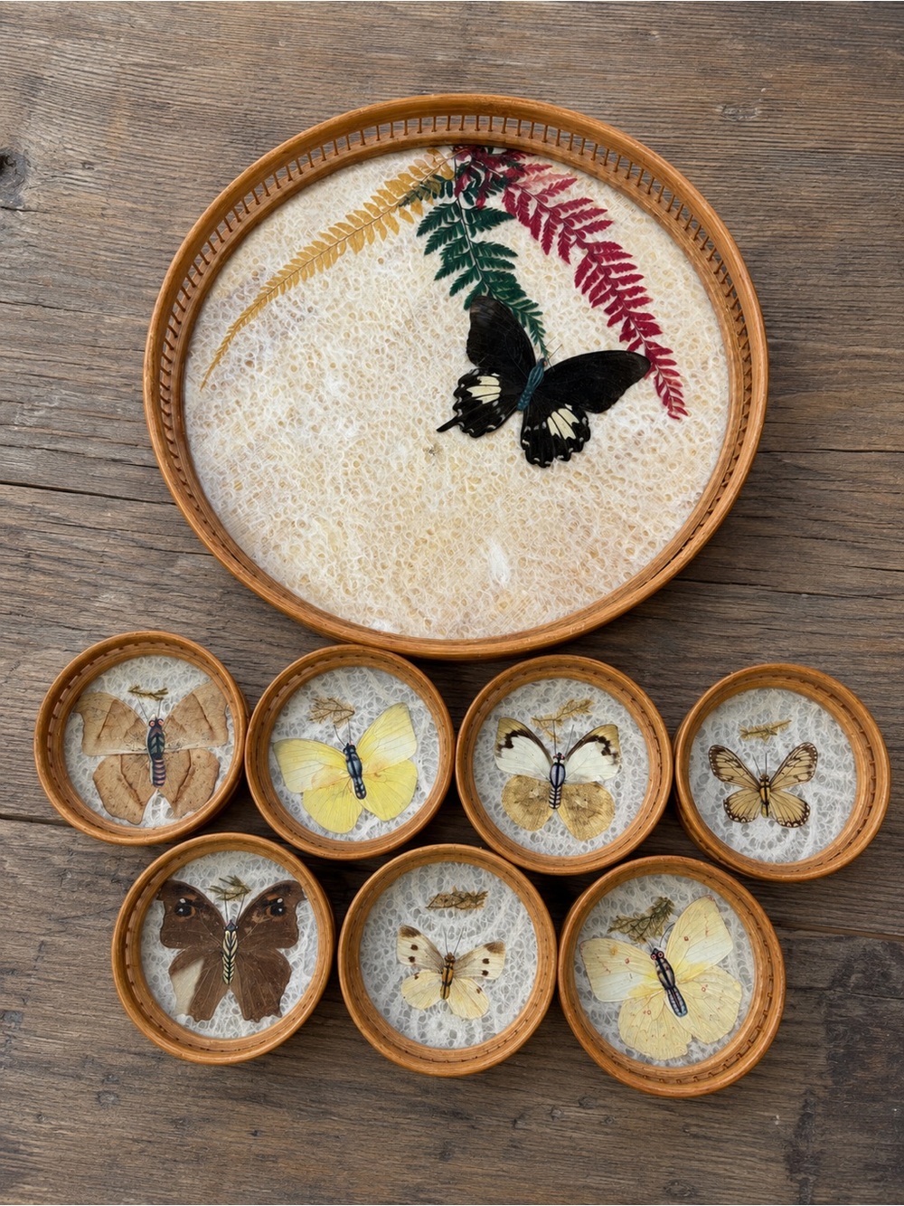 Vintage 1970s Bamboo Preserved Butterfly Serving Tray 7 Coasters Boho Barware
